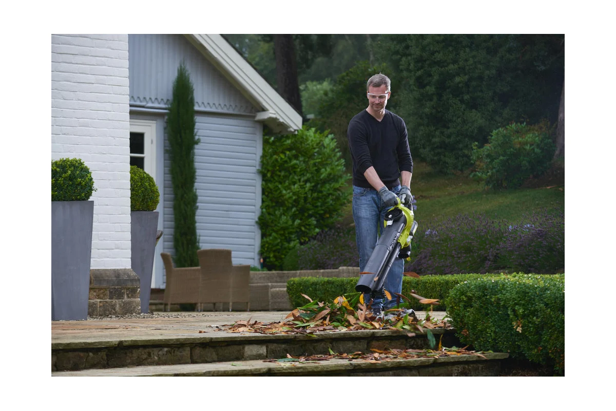 Пылесос с мешком